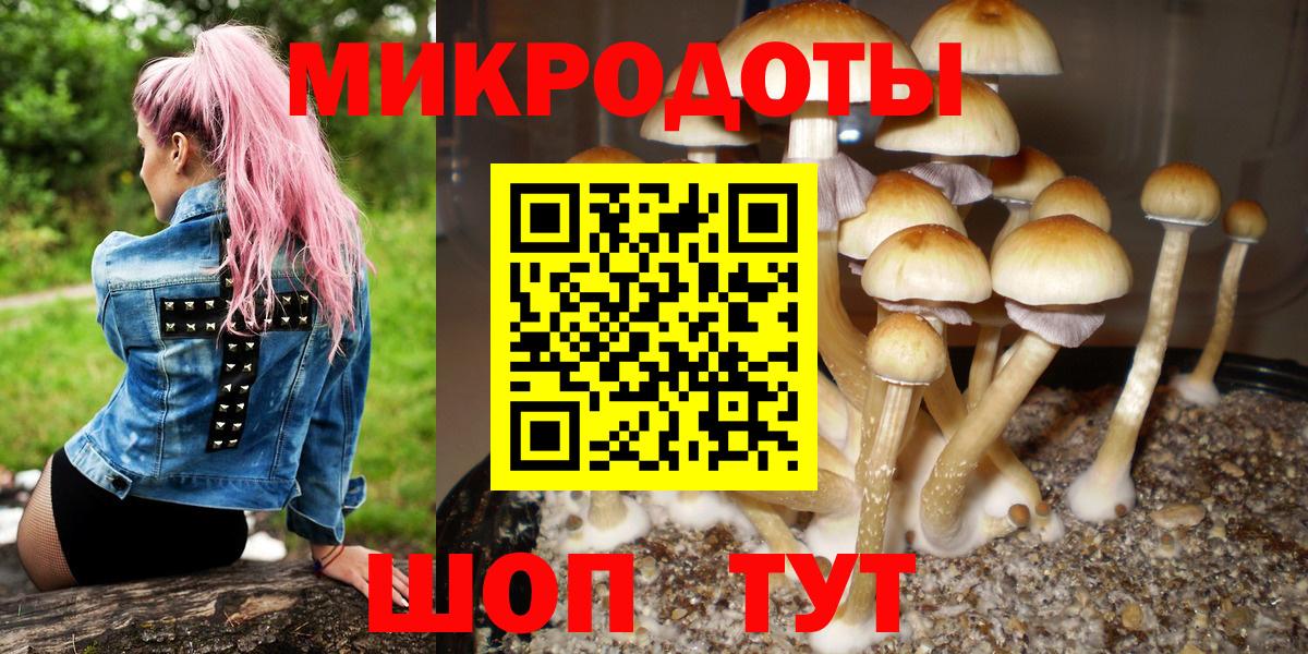 Галлюциногенные грибы Cubensis Менделеевск